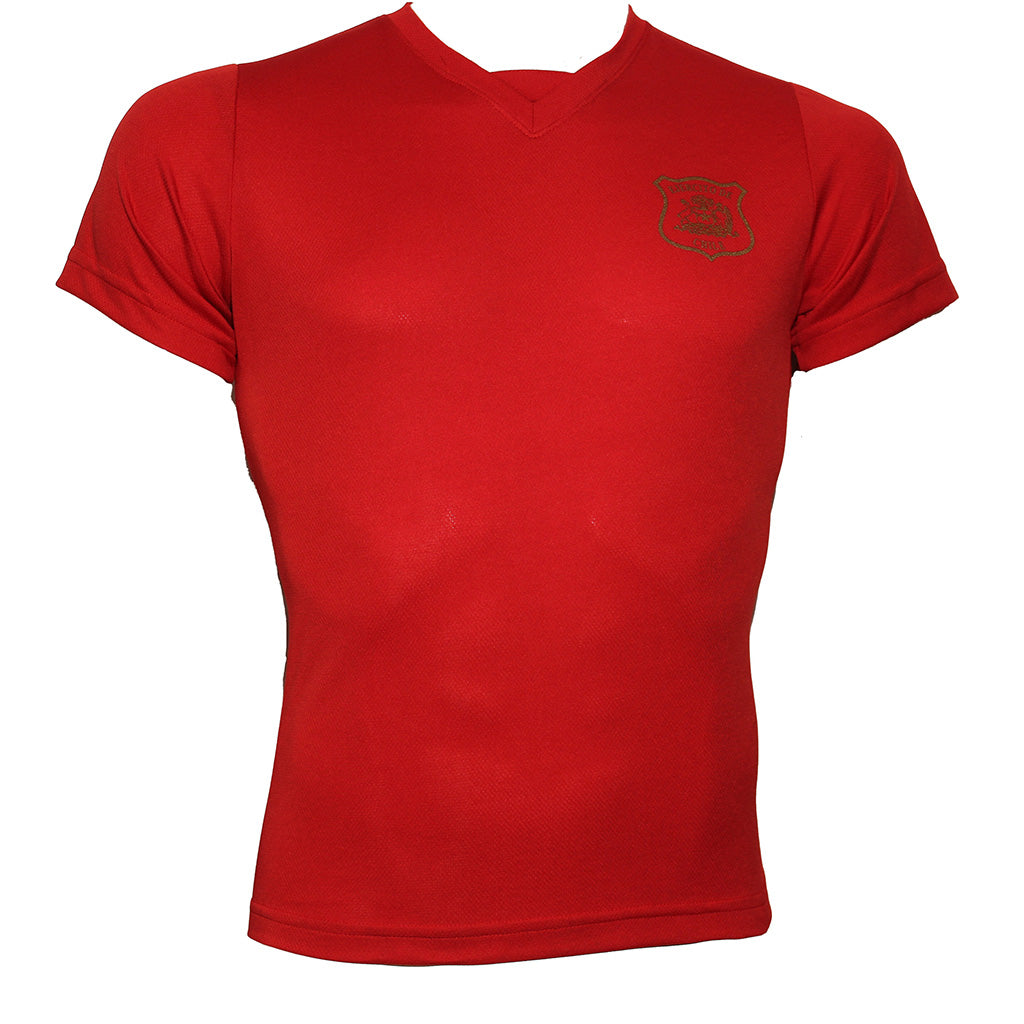 Polera Mujer Ejército De Chile Dry Fit Manga Corta CATTA