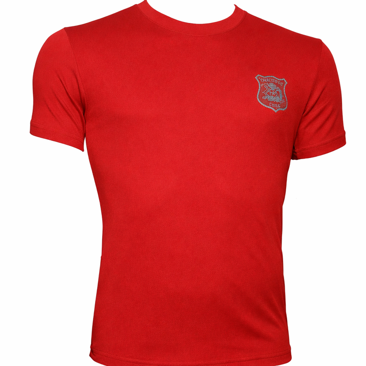 Polera Ejército De Chile Dry Fit Manga Corta CATTA