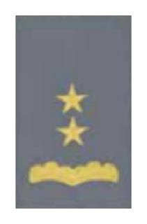 Grado de camisa (traba de hombro) - Teniente Coronel (TCL), gris