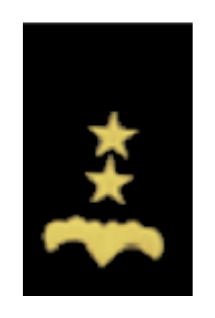Grado de camisa (traba de hombro) - Teniente Coronel (TCL), negro