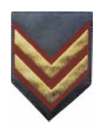 Jineta Grado Pentágono - Sargento 1º (SG1), gris