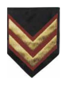 Jineta Grado Pentágono - Sargento 1º (SG1), negro