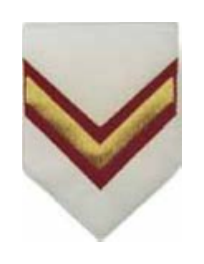 Jineta Grado Pentágono - Sargento 2º (SG2), blanco