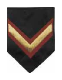 Jineta Grado Pentágono - Sargento 2º (SG2), negro