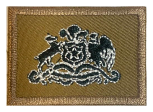 Parche Escudo Kepí