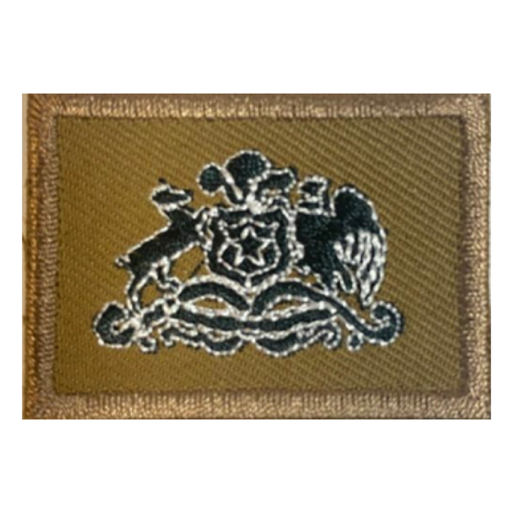 Parche Escudo Quepí
