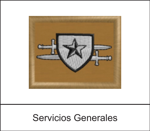 Parche de arma o servicio - Servicios Generales