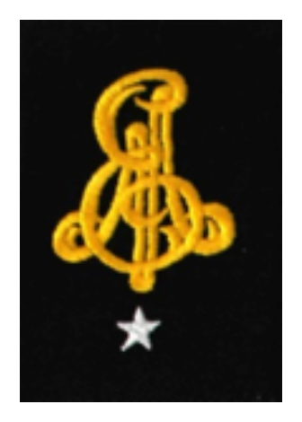 Grado de camisa (traba de hombro) - Alumno Escuela Militar, 1.er año, negro