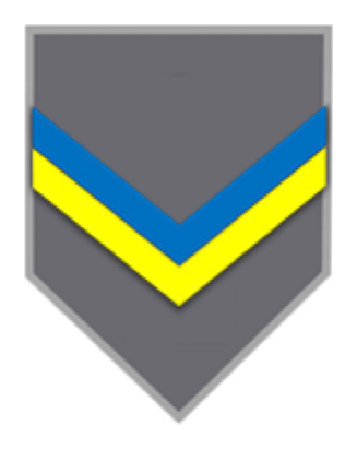Jineta Grado Pentágono - Cabo Dragoneante (Esc. de Suboficiales), gris
