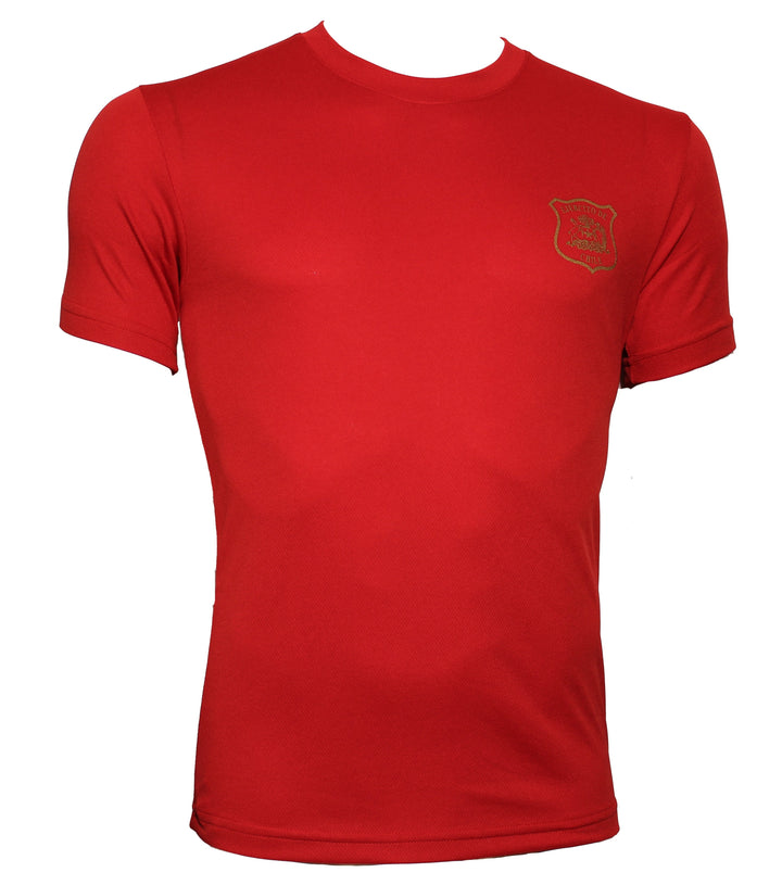 Polera Ejército de Chile Dry Fit Manga Corta Estampado Dorado